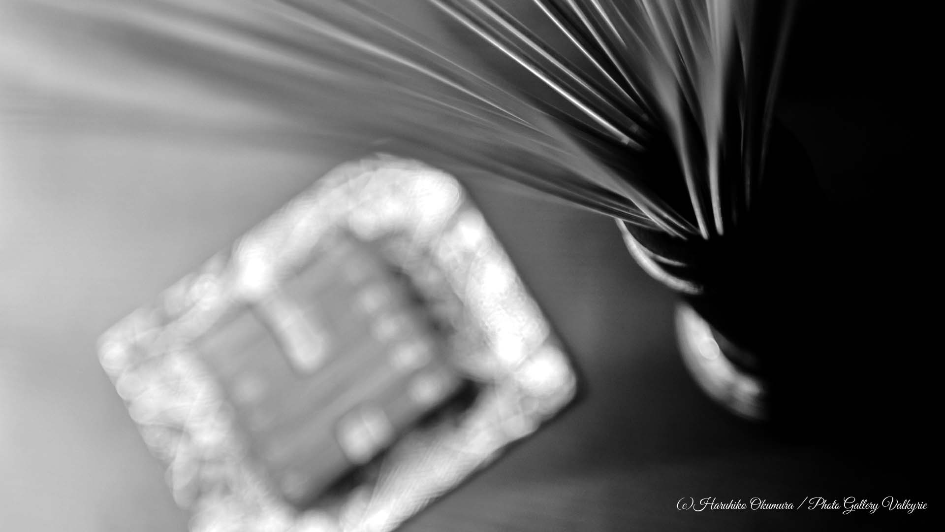 photo_gallery_valkyrie_photographer_haruhiko_okumura_フォトグラファー_奥村晴彦_易_eki_06